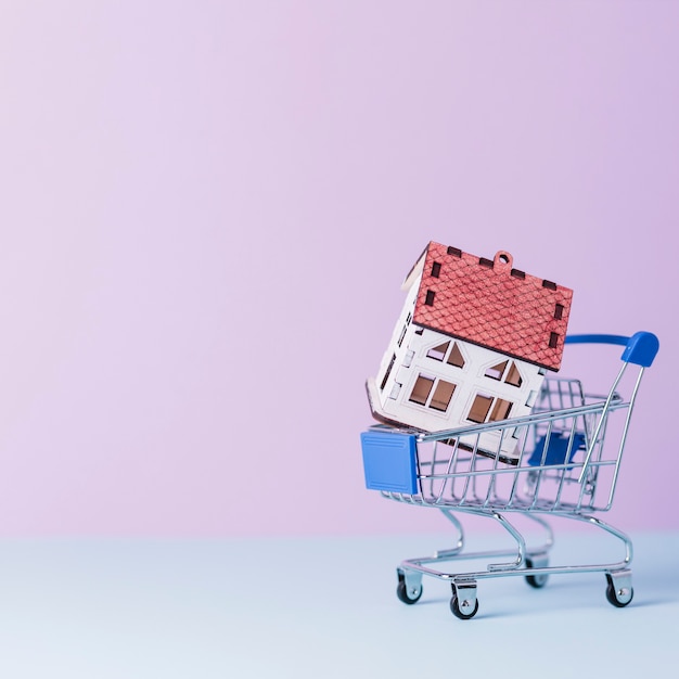 Modello di casa nel carrello della spesa in miniatura