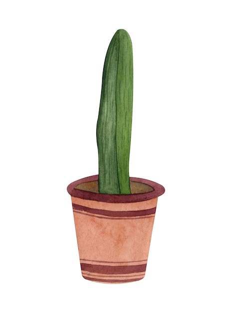 Домашнее растение в горшке сочный кактус Акварель раскрашенная вручную иллюстрация изолирована на белом