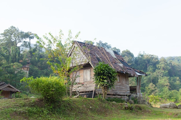 House and rice fields