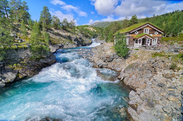 The house in the river