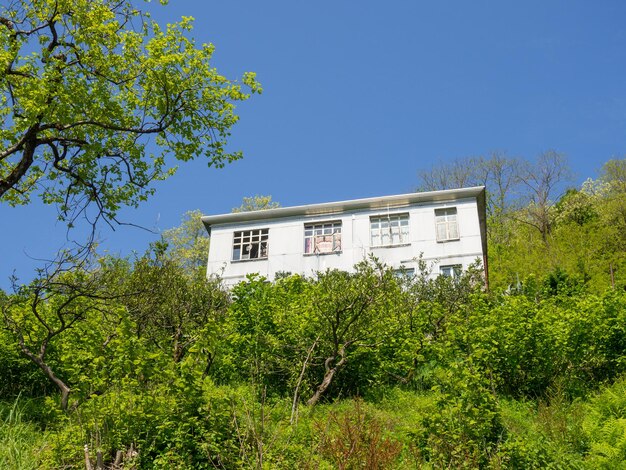 House on the slope of a green hill Life in nature House in the mountains Old building among the trees