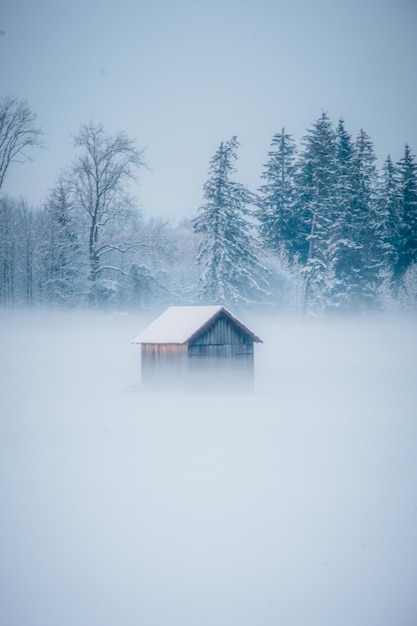 House on snow covered land against sky