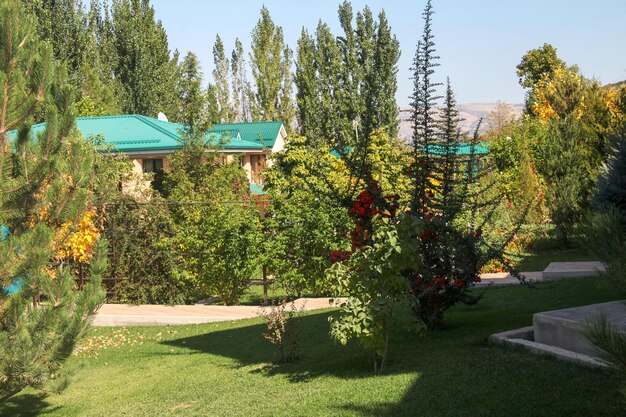 House surrounded by trees and flowers