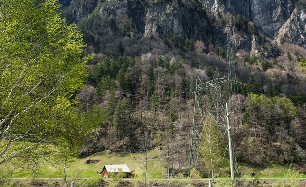 House between switzerland forest.