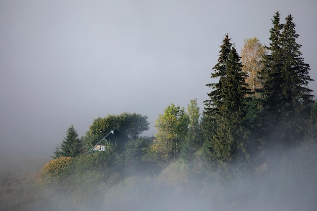 House on top of the Carpathian Mountains in the fog