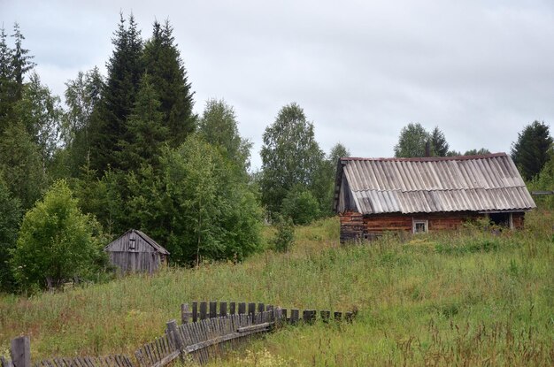 House and trees on field against sky