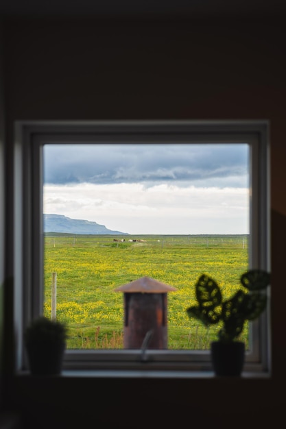 Photo house window through horse in field on farmland
