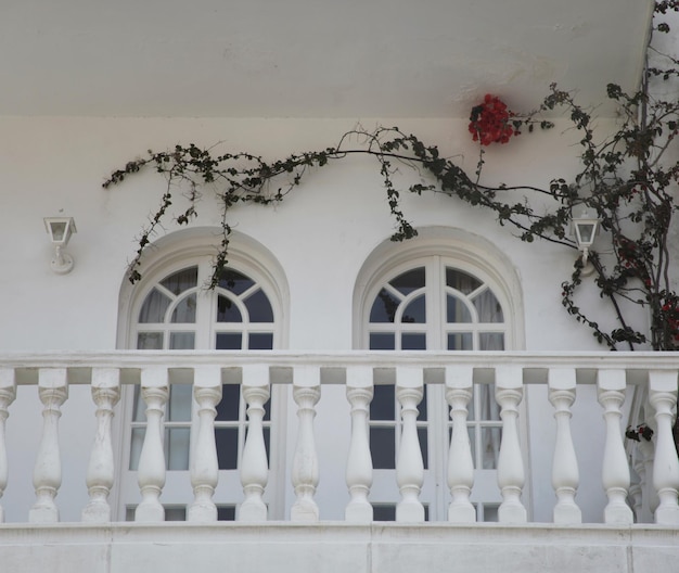 Zakynthos에 꽃이 있는 집과 창