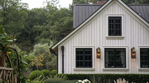 a house with a black roof and a white house with a black roof