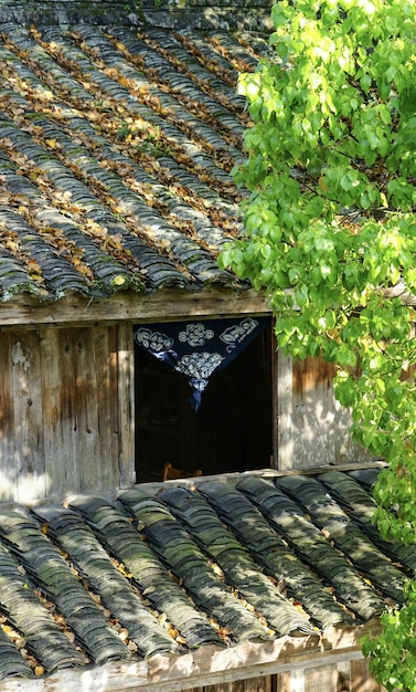 A house with a blue patterned cloth on the roof