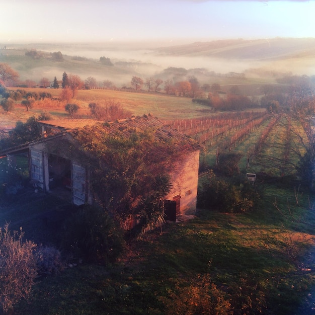 Foto casa con un campo sullo sfondo