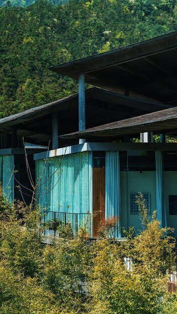 A house with a green curtain that says'the word jungle'on it