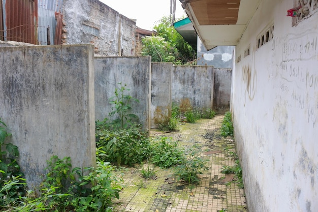 Photo a house with a lot of plants and a wall with the word love on it