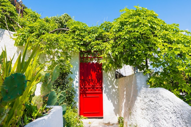 House with red door and green plants Plaka district Athens Greece