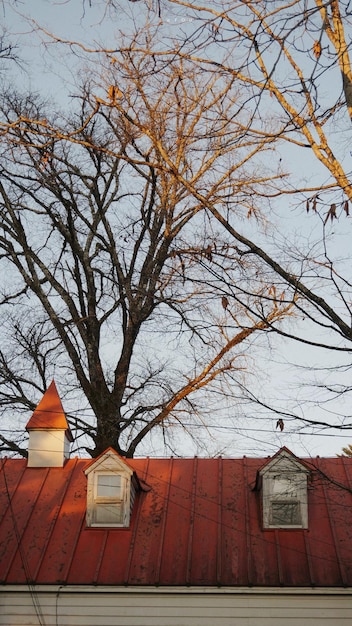 A house with a tower and a tree in the background