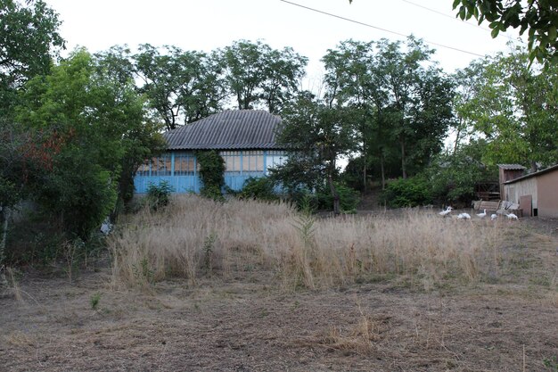 A house with trees around it