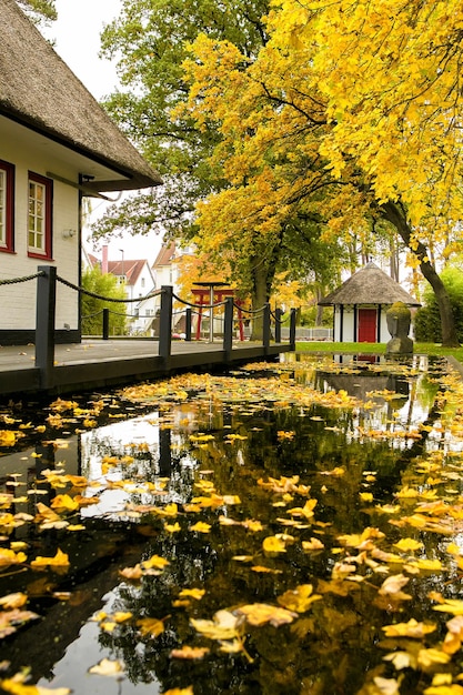 Travemunde의 가을 날 나무에 노란 잎사귀가 있고 물에 반사된 집. 독일.