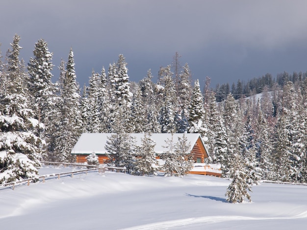 House in the woods covered with snow.