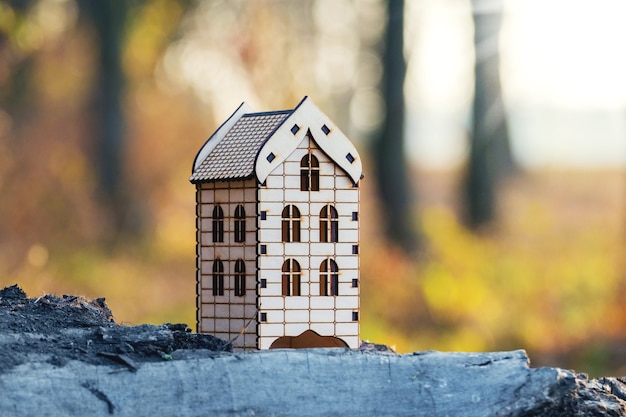 House in the woods, in an environmentally friendly area. Toy wooden house on a background of trees in the woods