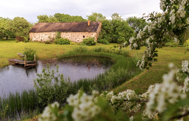 A house in the woods with a pond in the foreground