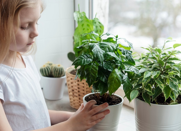 Houseplant care, little girl caring for houseplants