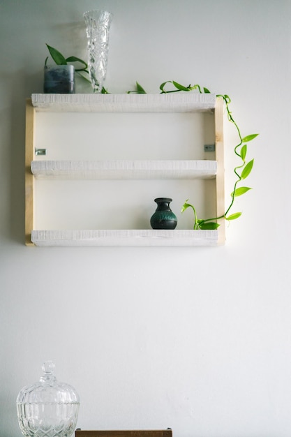 Houseplant and decorations on white pine wooden shelf