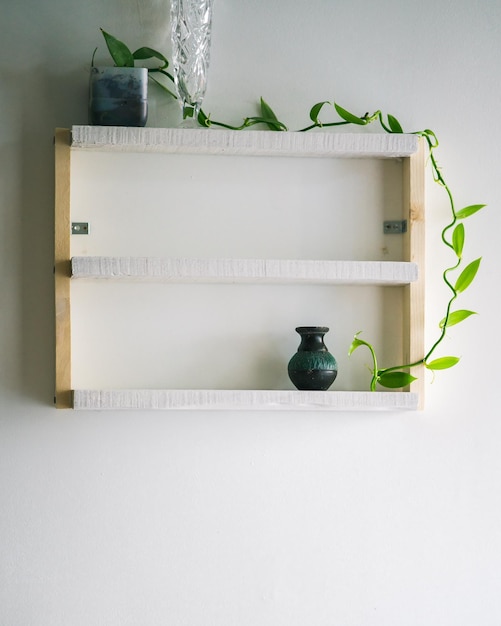 Houseplant and decorations on white pine wooden shelf