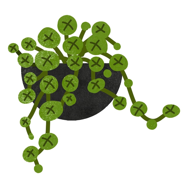 Photo houseplant doodle png sticker transparent background