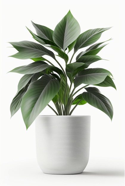 Houseplant in pot isolated white background interior design botanical concept Generative AI