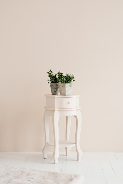 Houseplant roses in a pot on a white table in the interior of the living room or bedroom