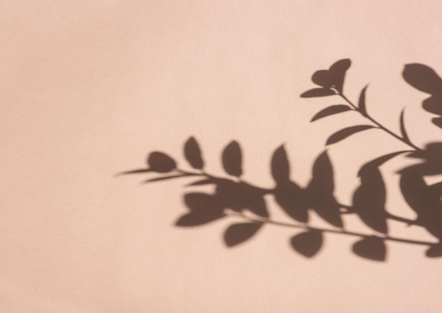 Houseplant shadow on pastel peach color Space for text