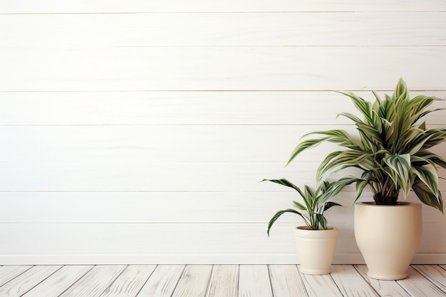 Photo houseplant with copy space on white wooden floor background