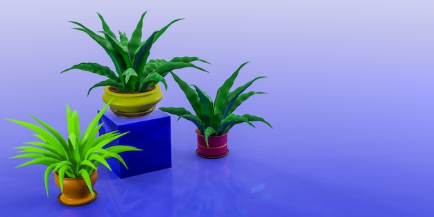 Photo houseplants in colored pots on a blue background. place for your text. 3d illustration