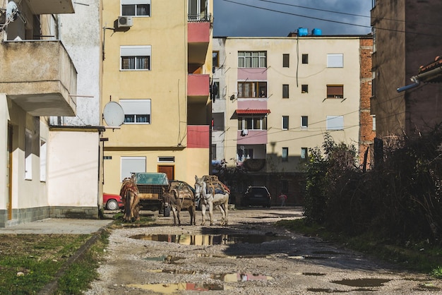 Foto case contro il cielo in città