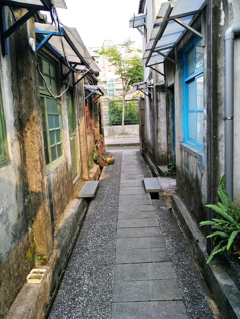 Houses amidst trees