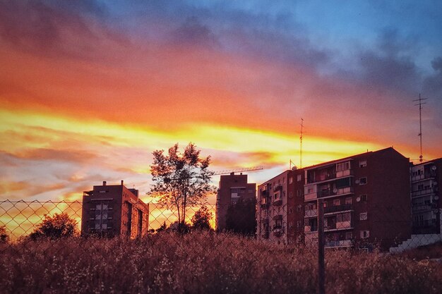 Фото Дома и деревья на фоне неба на закате