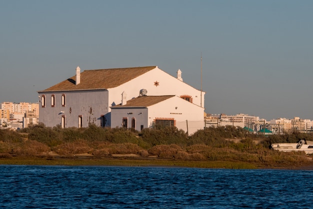 Foto vicino alla spiaggia di faro