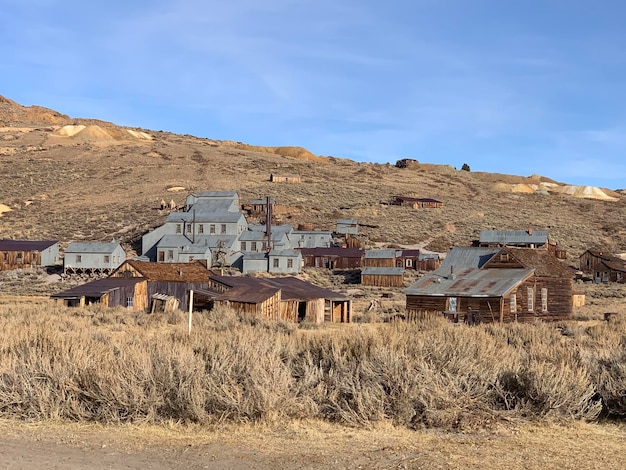 Houses on field against sky