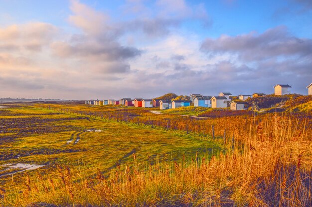 Houses on field against sky