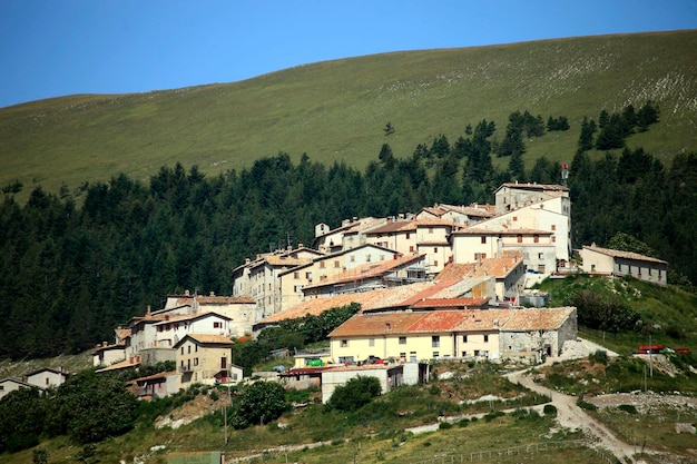 Houses on field