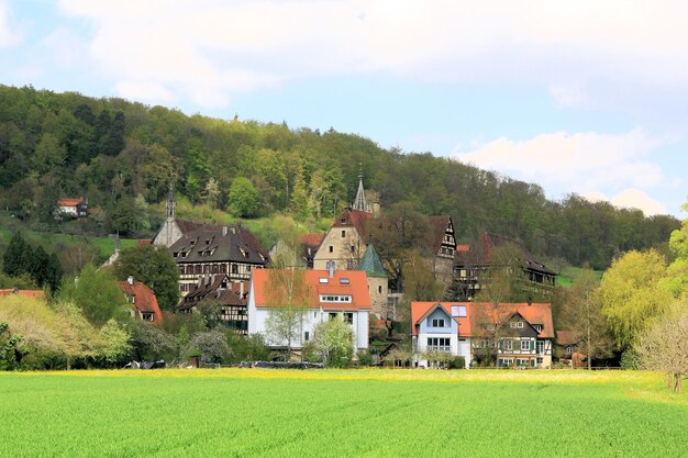 Photo houses on green landscape against sky