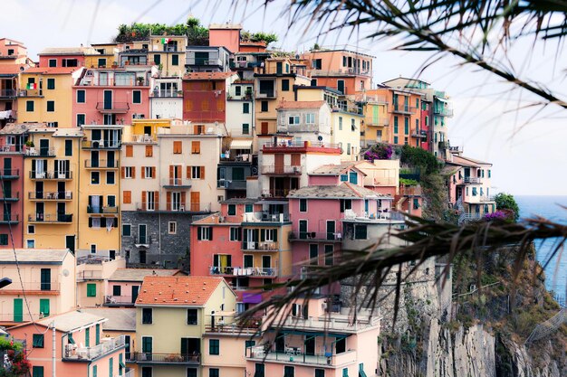 Houses on the hill Manarola city