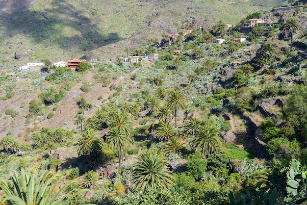 Houses on a hill near the musk gorge on the island of Tenerife