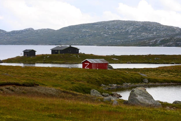 Houses on a lake shore