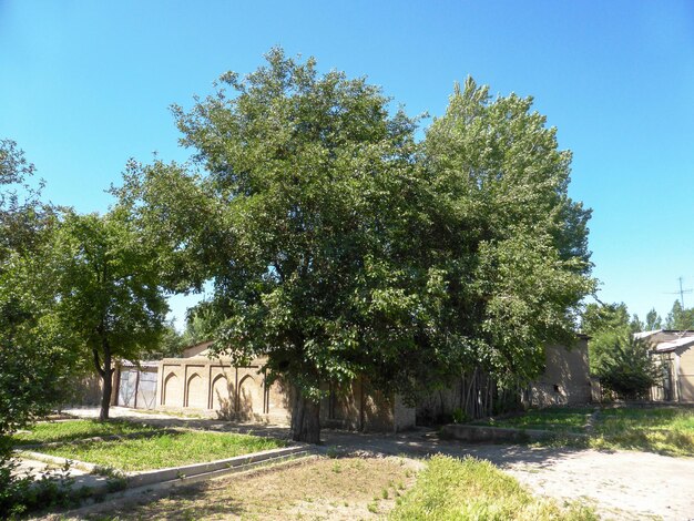 Houses outside the city in nature