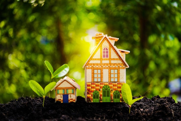 Houses and seedlings growing according to real estate concepts