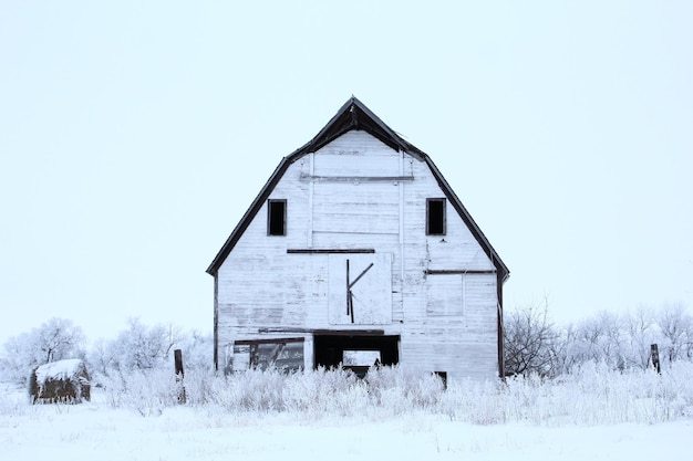 Houses on snow covered field