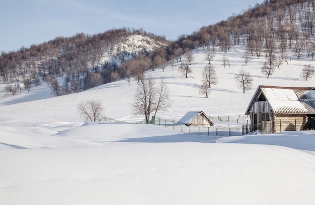 空に向かって木々で覆われた雪の土地の家