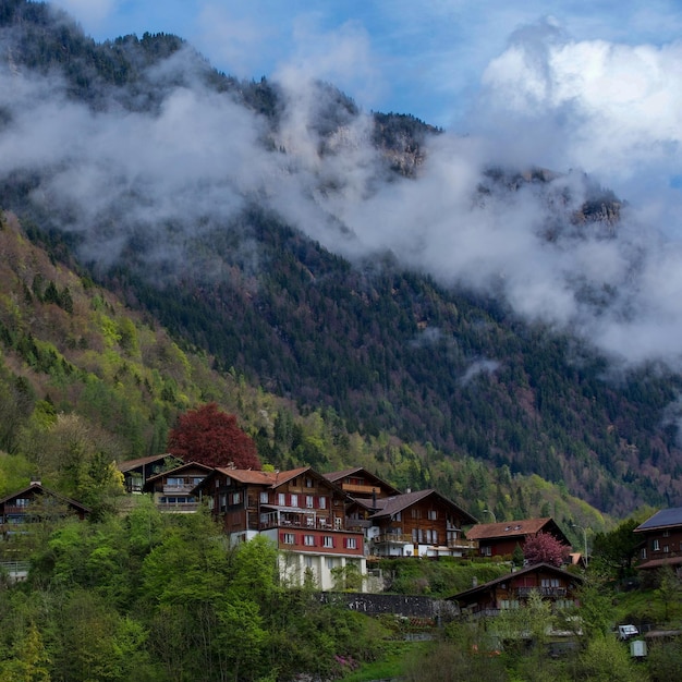 Houses in town