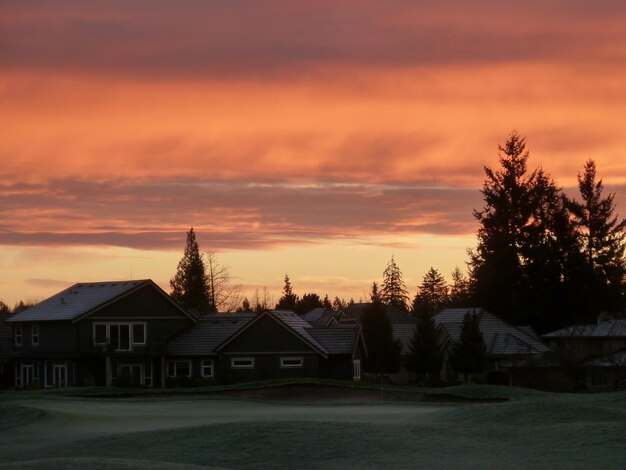 Houses and trees on field against orange sky